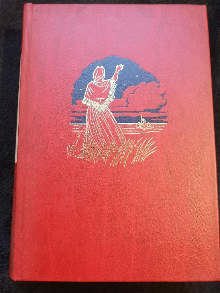 Kathinka Lannoy, De bruid van Scheveningen, Boeken, Ophalen of Verzenden, Gelezen