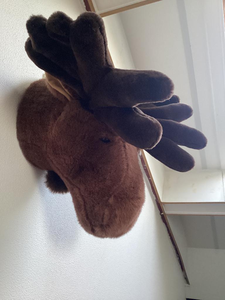 Knuffel eland hoofd voor aan de muur, Kinderen en Baby's, Speelgoed | Knuffels en Pluche, Overige typen, Ophalen of Verzenden