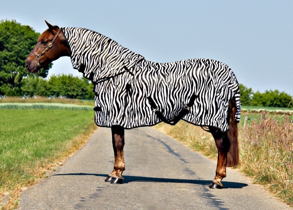 Profi-Rider Vliegendeken Zebra afneembare hals 175tm215 SALE, Full (L), Afneembare hals, Overige merken, Vliegendeken