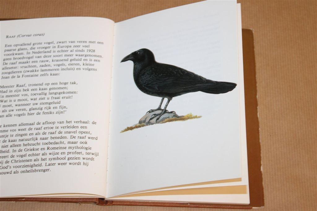 Vogels — Torenboekje — Met Kleurenafbeeldingen, Verzenden, Gelezen, Vogels