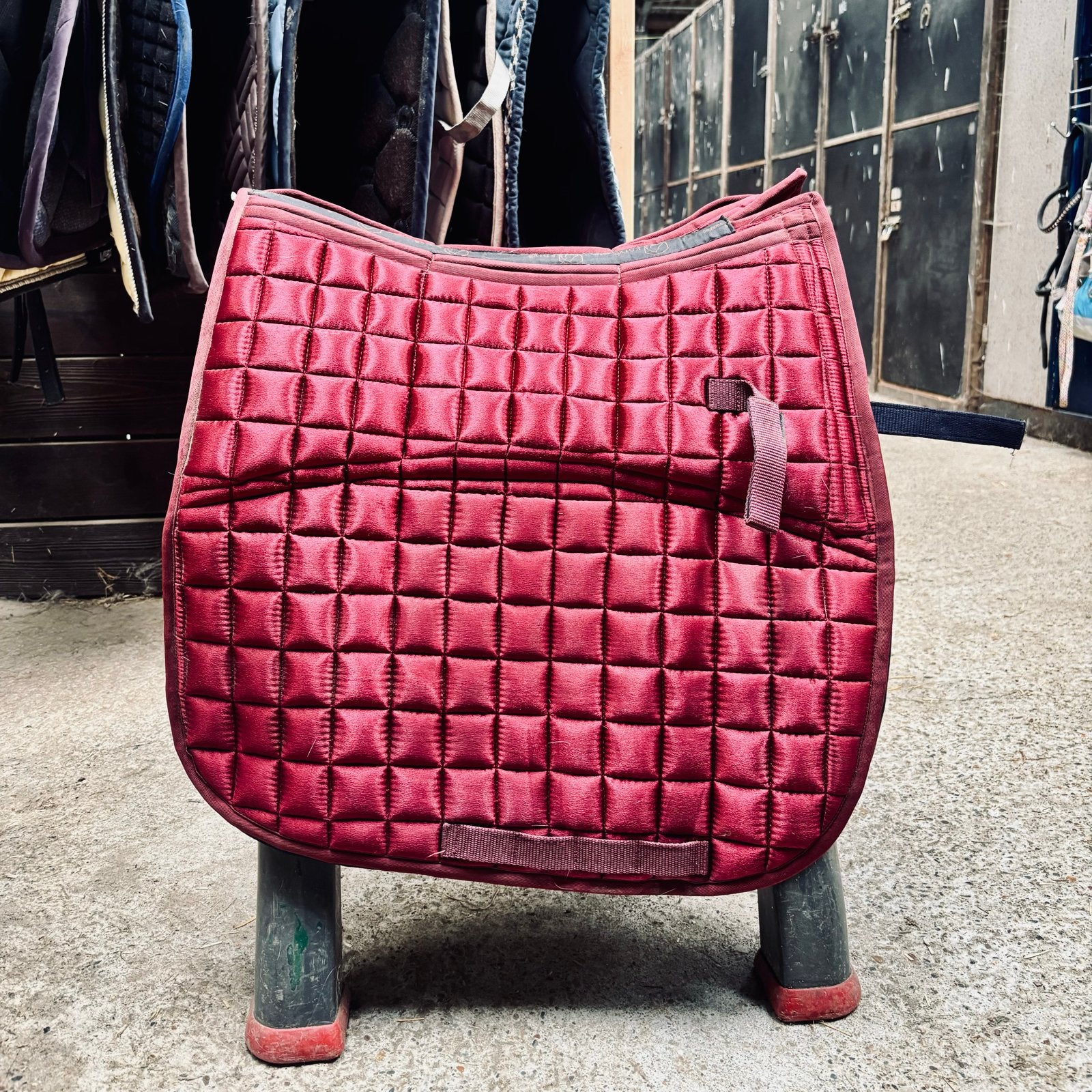 2 x EDIX DR Metallic 8-pocket pad, Dieren en Toebehoren, Ophalen of Verzenden, Zo goed als nieuw, Dressuur
