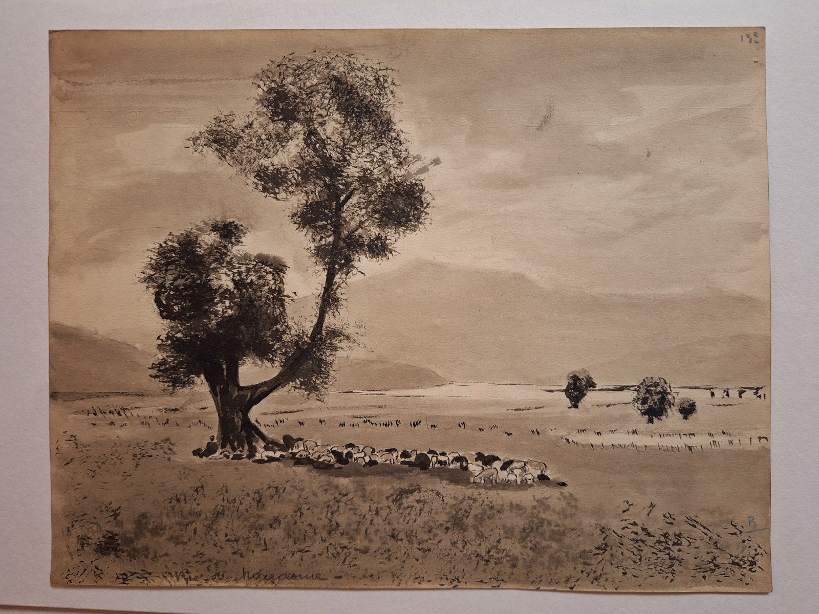 Inkttekening: Koeien in Landschap, Ophalen of Verzenden, Tekening, Pentekening, Origineel