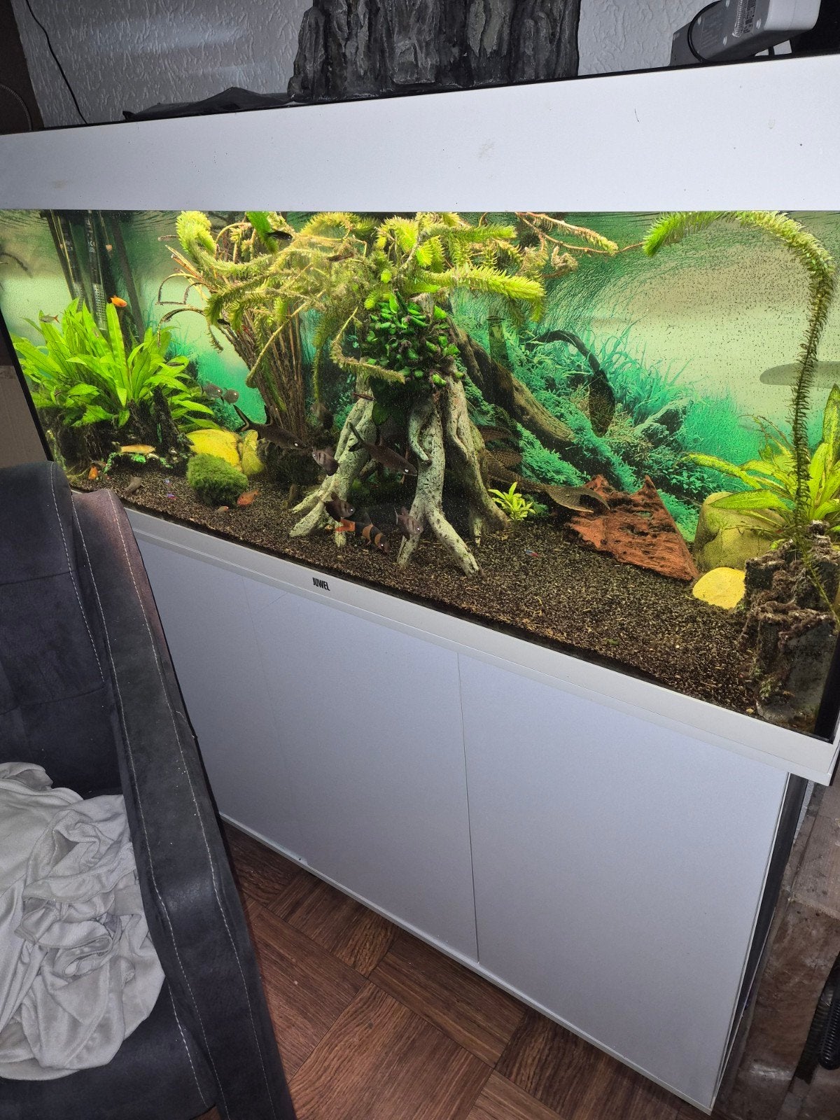 jewel aquarium, Ophalen, Inclusief vissen, Juwel, Gevuld zoetwateraquarium