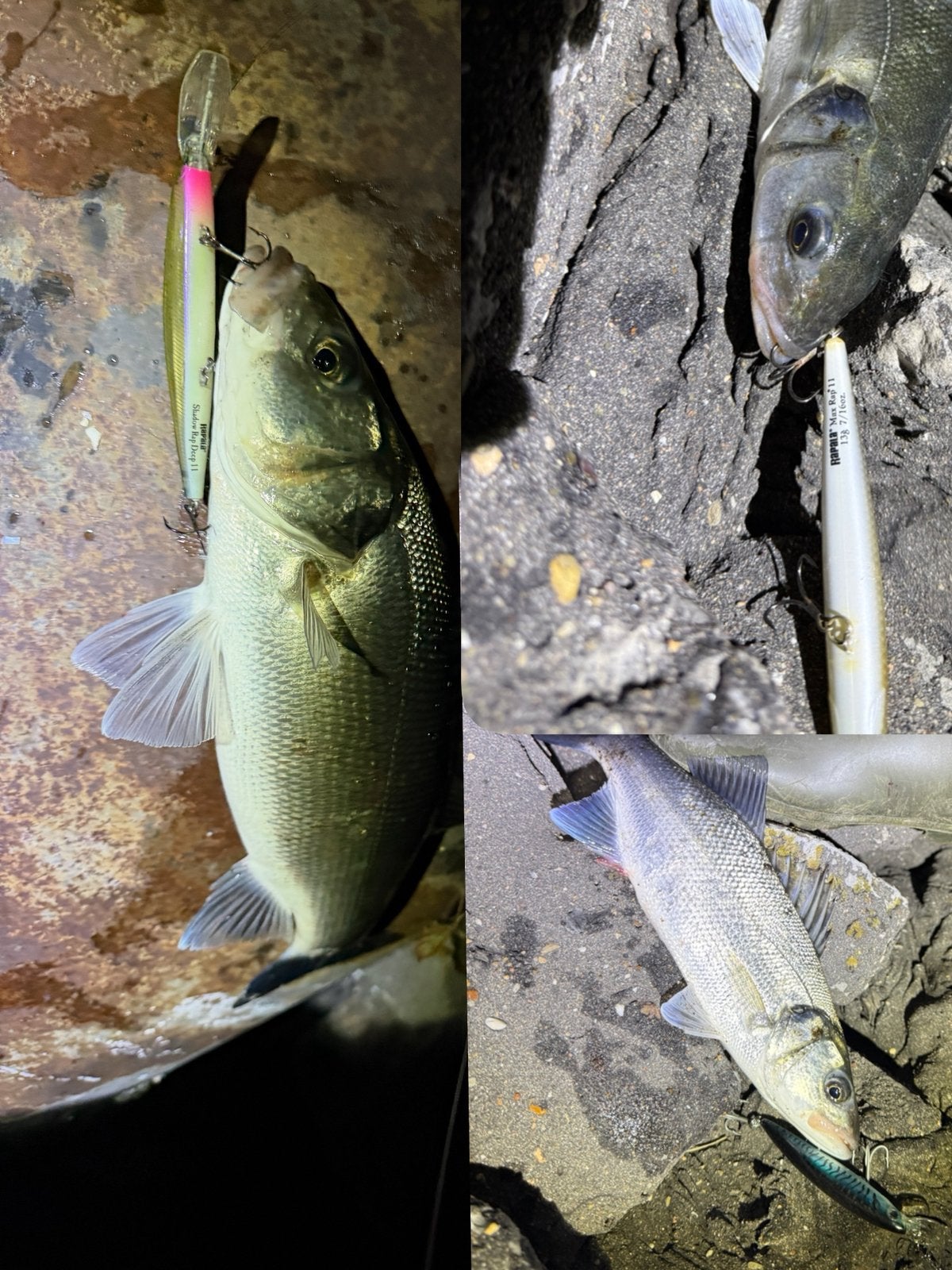 Rapala max rap en shadow rap kunstaas pluggen, Ophalen of Verzenden, Zo goed als nieuw, Overige typen