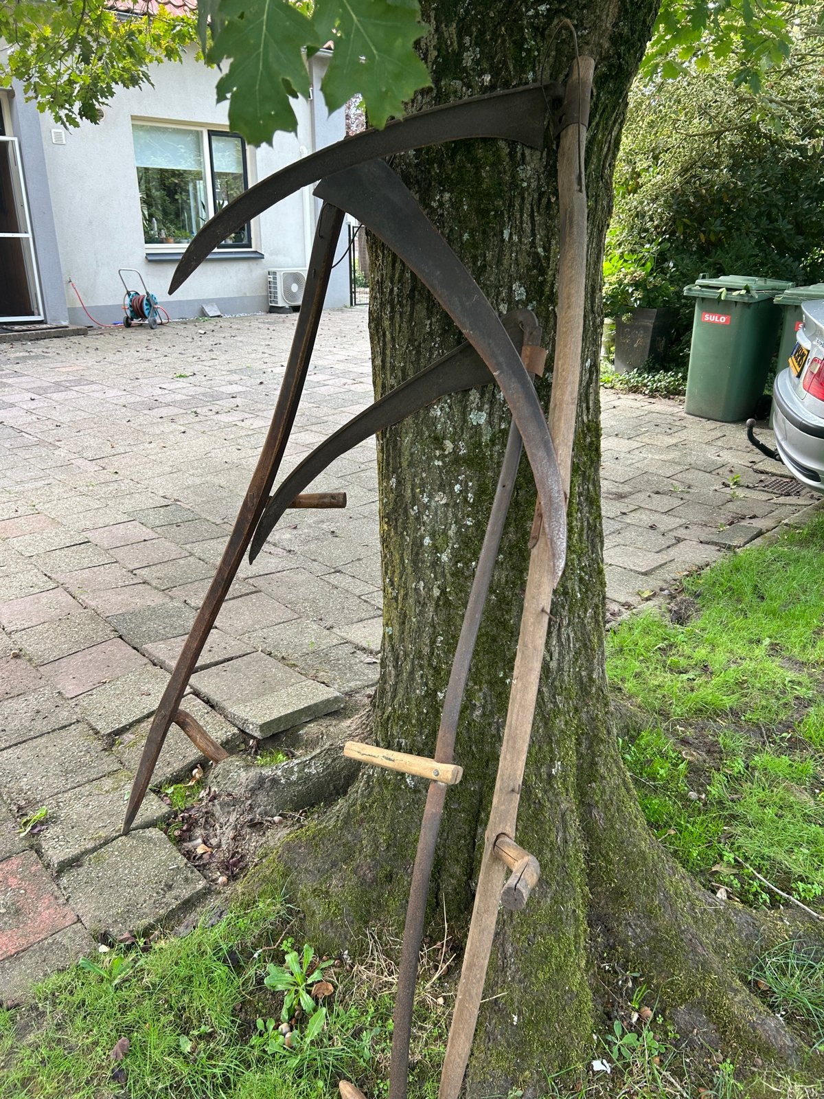 Antieke Zeisen - Set van 3 voor Decoratie of Gebruik, Ophalen