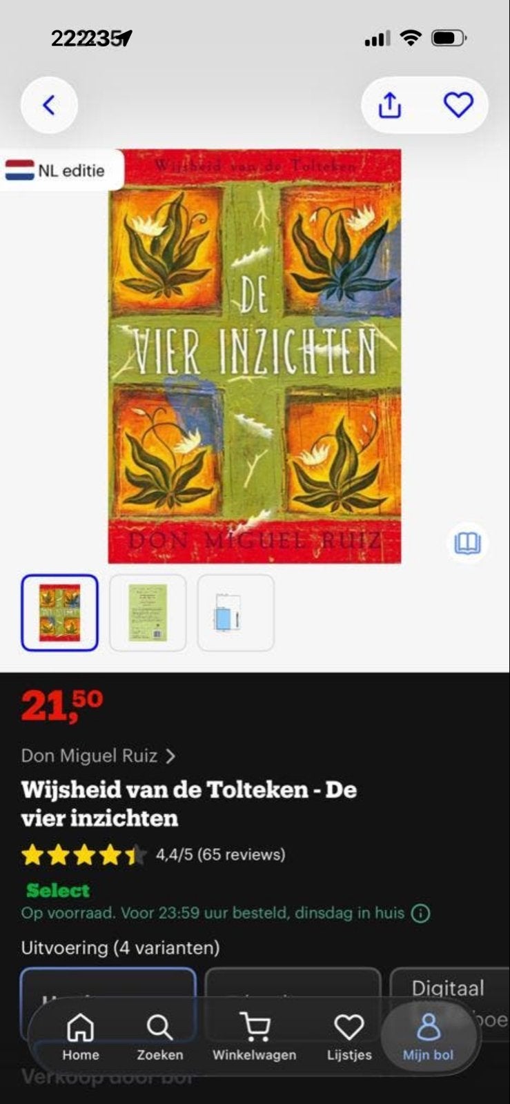 De vier inzichten - Don Miguel Ruiz (NL editie), Ophalen of Verzenden, Gelezen, Nederland