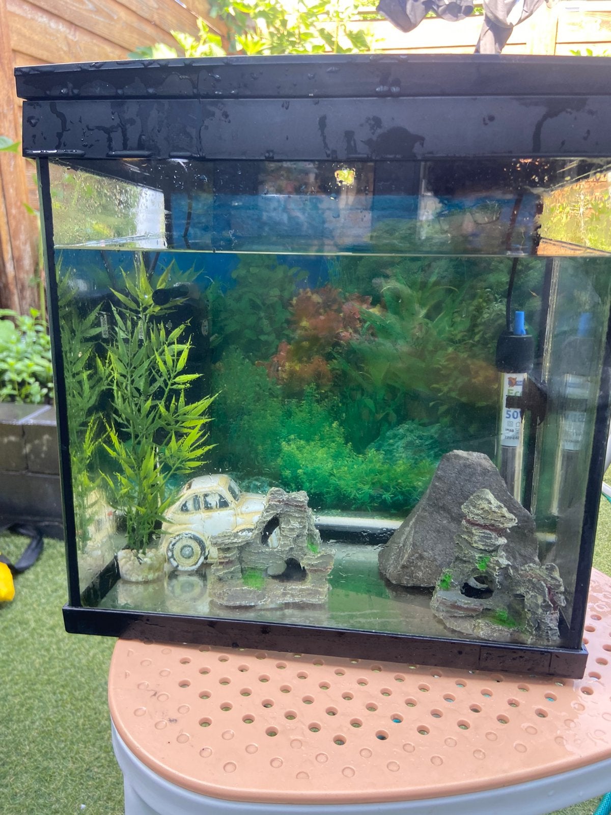 Vissen aquarium, Ophalen of Verzenden, Zo goed als nieuw