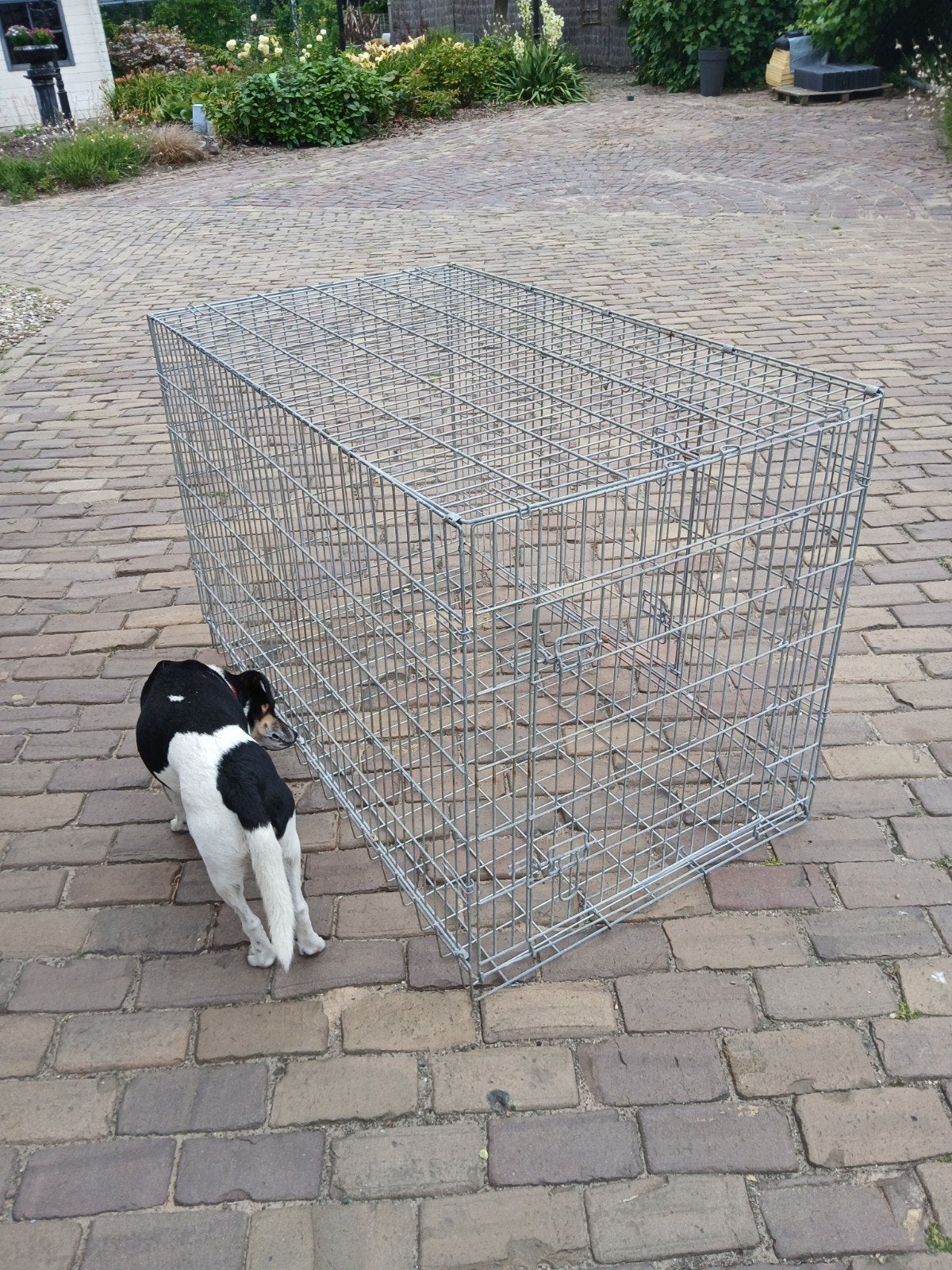 hondenbench, Ophalen, Gebruikt