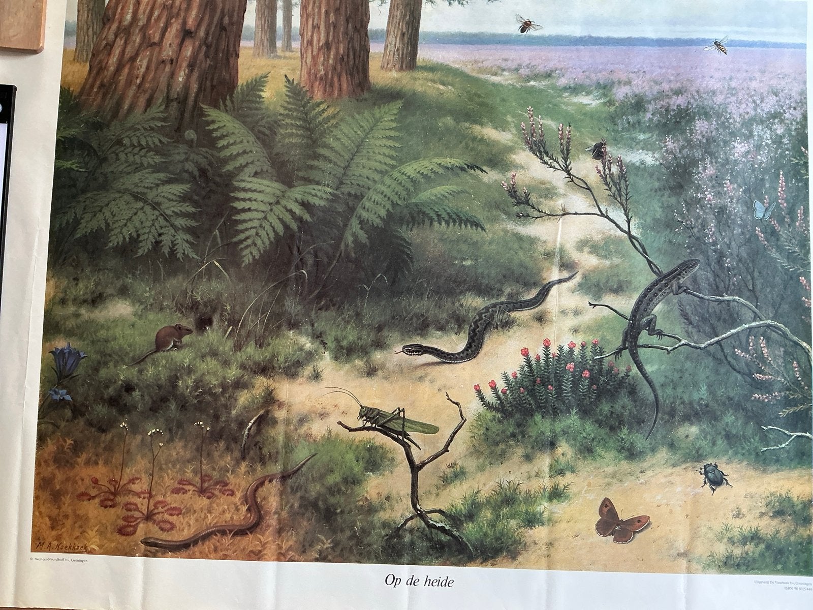 Vintage educatieve plaat: 'Op de heide' met dieren, Ophalen of Verzenden, Natuur en Biologie