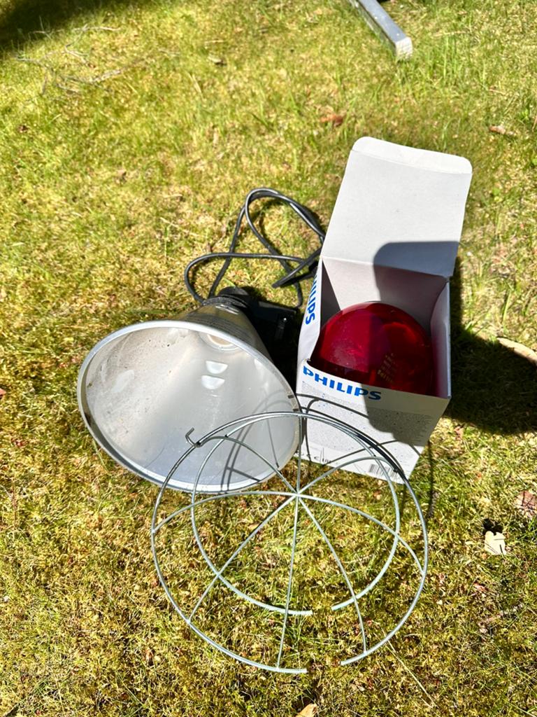 Warmte lamp nestlamp / nieuw !, Dieren en Toebehoren, Ophalen of Verzenden, Nieuw