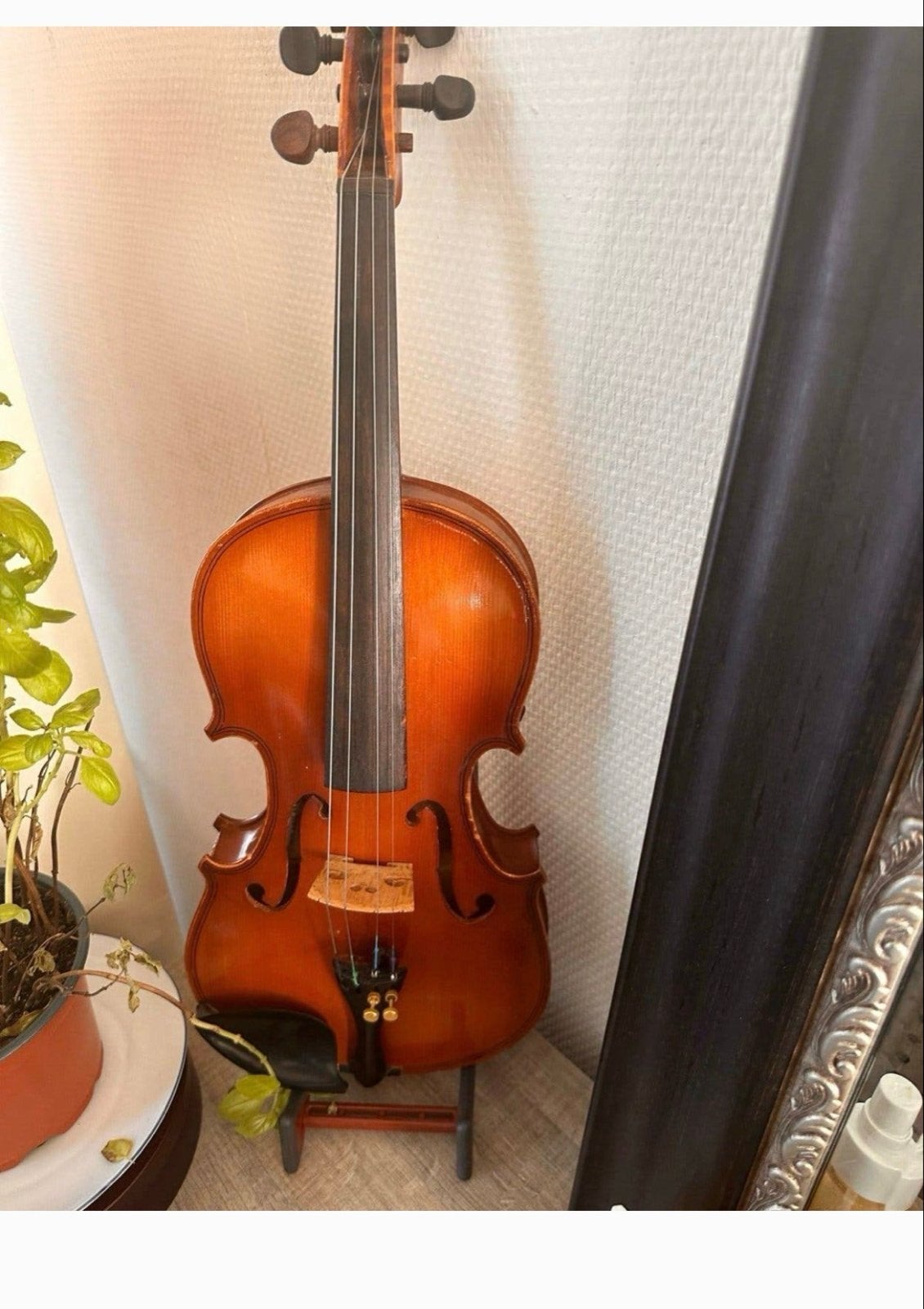 Prachtige 2/4 Viool voor Jonge Beginners - Warme Klank, Muziek en Instrumenten, Ophalen of Verzenden, Gebruikt, 1/2-viool, Viool