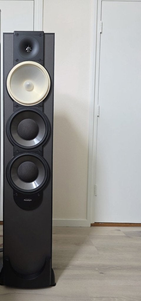 Paradigm Monitor 11 v5 - perfecte staat incl. spikes