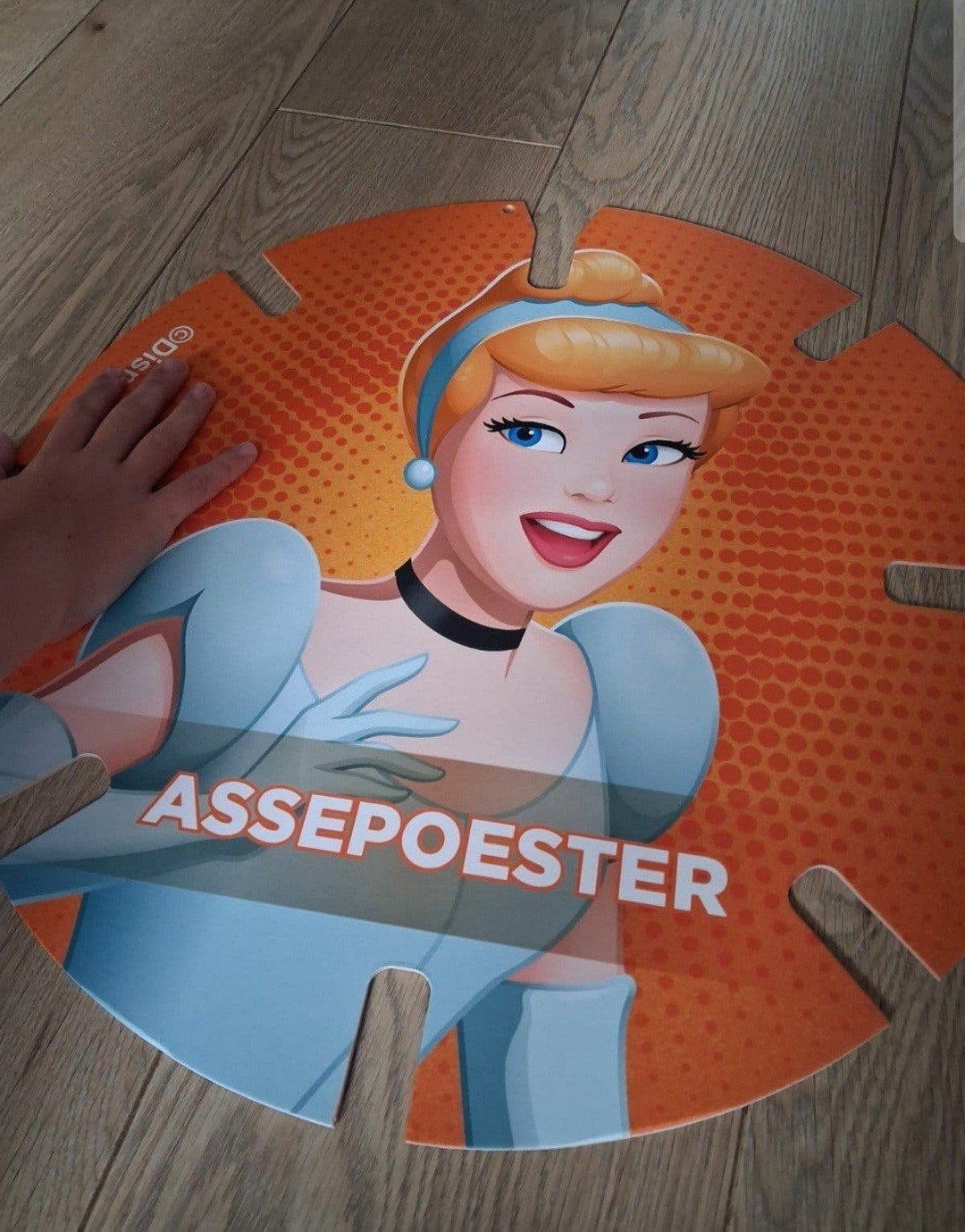 GEZOCHT XXL Diskey van Assepoester, Albert Heijn, Ophalen of Verzenden
