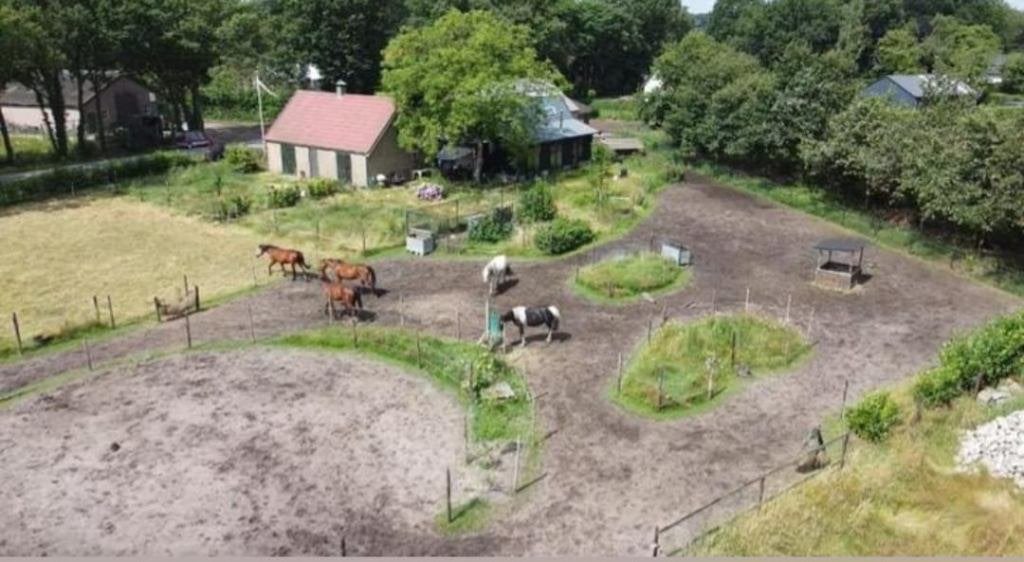 Zoek jij een fijne plek voor jouw paard of pony?, Dieren en Toebehoren, Stalling en Weidegang, Weidegang, 4 paarden of pony's of meer