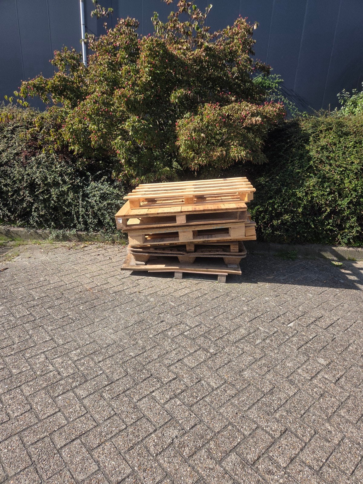 gratis pallets, Ophalen