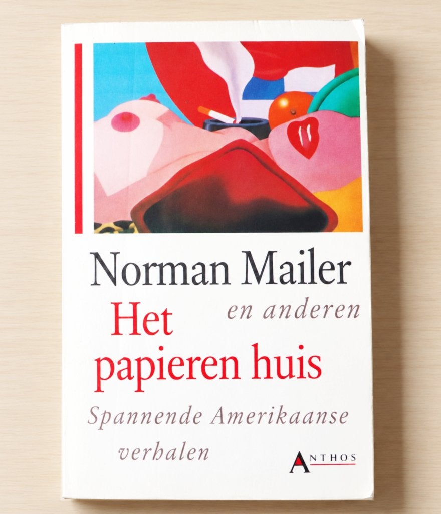 Het papieren huis met o.a. Mailer, Hemingway, Steinbeck, Ophalen of Verzenden, Zo goed als nieuw, Diverse auteurs, Amerika