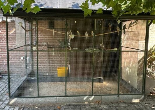 Mooie groene aluminium volière, vogelkooi, kattenren, Dieren en Toebehoren, Ophalen, Gebruikt, Aluminium, Volière