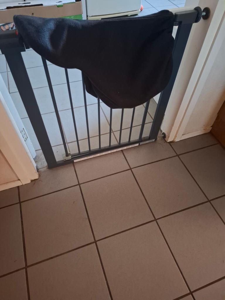 Zadelhoes, Dieren en Toebehoren, Ophalen of Verzenden, Gebruikt