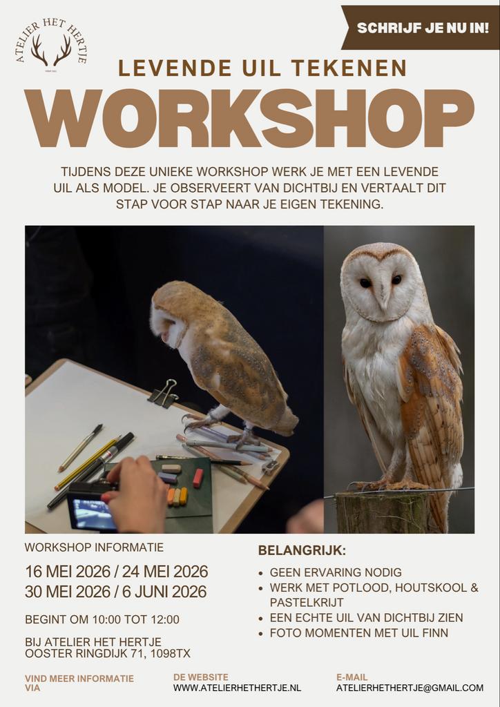 WORKSHOP Levende Kerkuil Tekenen, Hobby en Vrije tijd, Tekenen, Ophalen, Potlood of Stift
