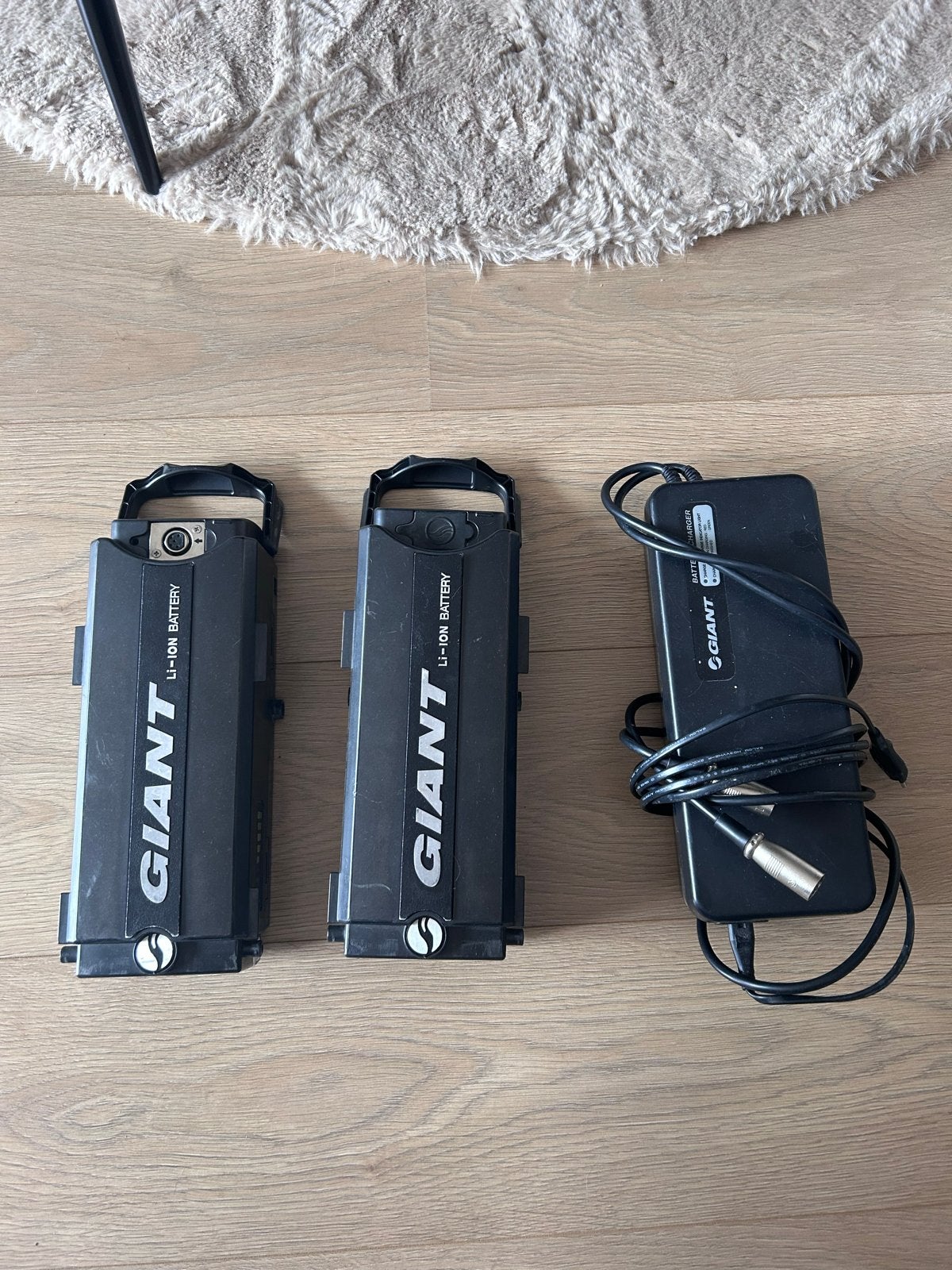 Giant twin accu's met oplader, werkt prima, Ophalen, Gebruikt