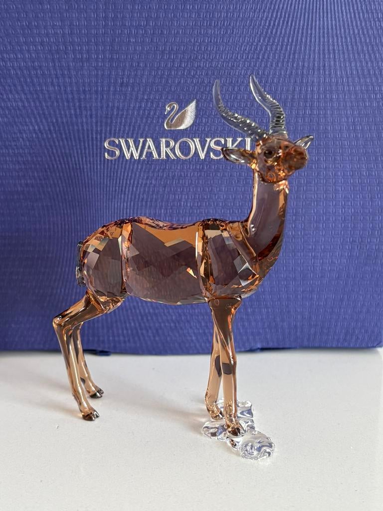Swarovski gazelle scs, Verzamelen, Swarovski, Ophalen of Verzenden, Zo goed als nieuw, Figuurtje
