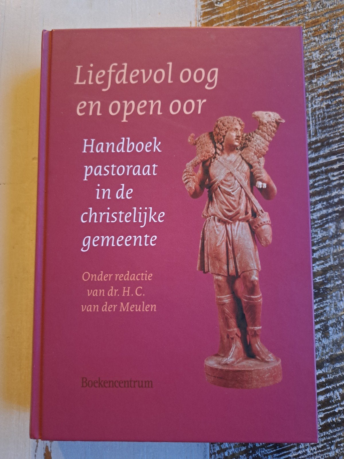 Liefdevol oog en open oor: Handboek pastoraat, Boeken, Ophalen of Verzenden