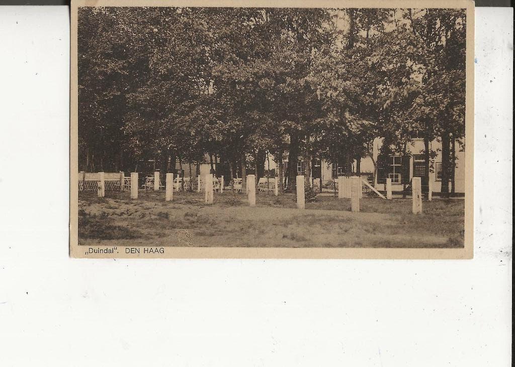 Den Haag Duindal, Verzamelen, Ophalen of Verzenden, Voor 1920, Ongelopen, Zuid-Holland