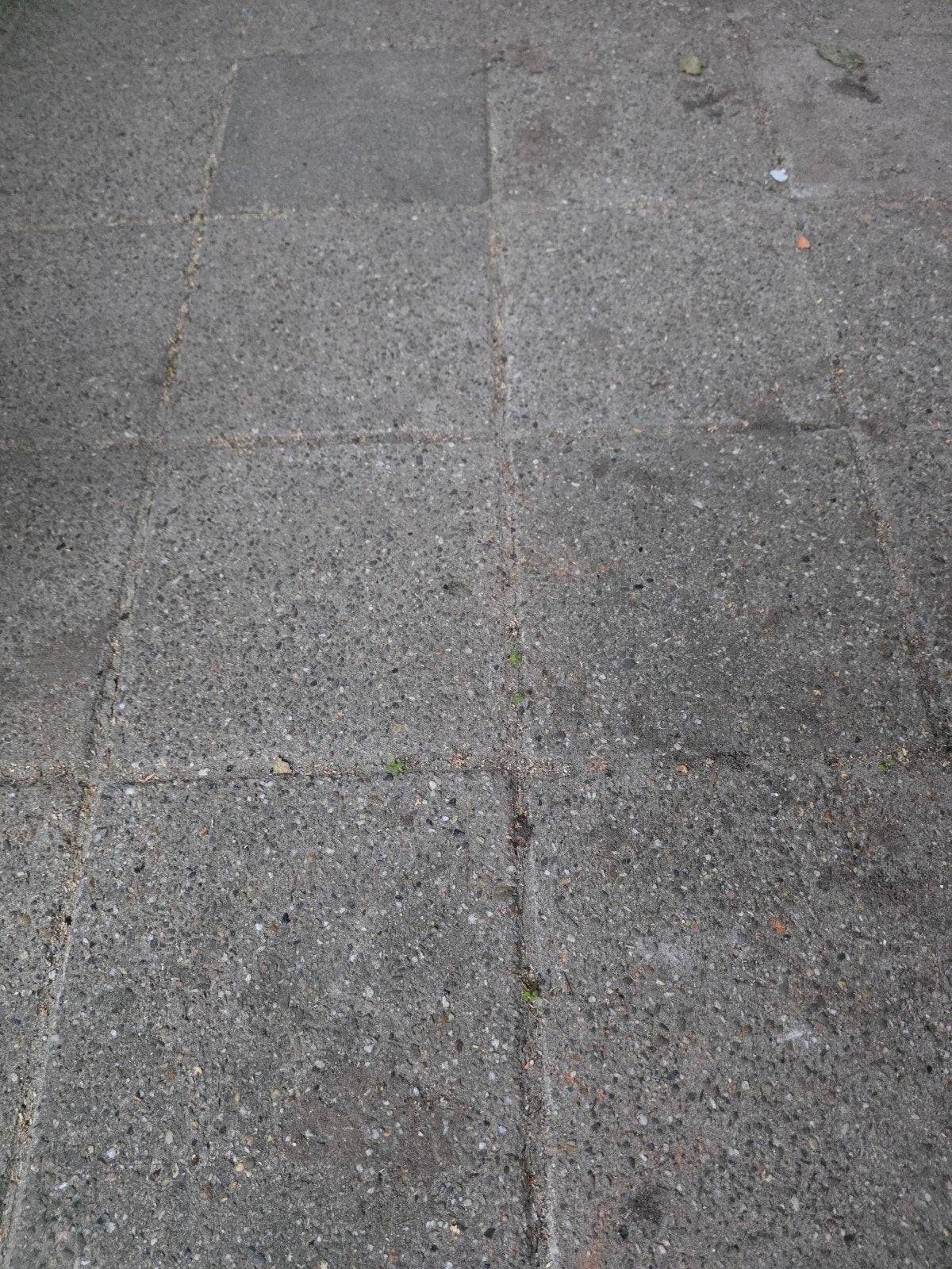 Ruim 50 betontegels 30x30 cm, Tuin en Terras, Ophalen, Gebruikt, 5 tot 10 m², Beton