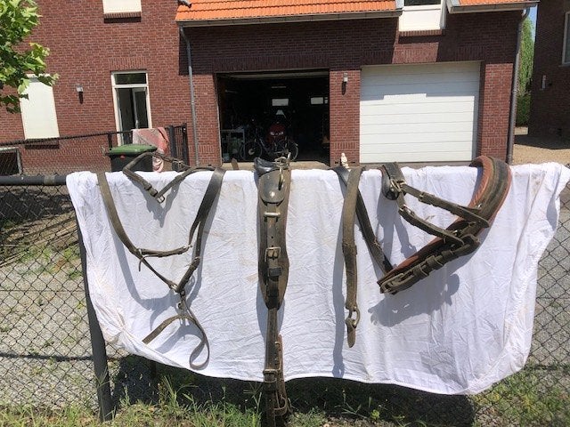 paardentuig maaat Ful/extra full, Dieren en Toebehoren, Ophalen, Gebruikt, Recreatie, Zwart
