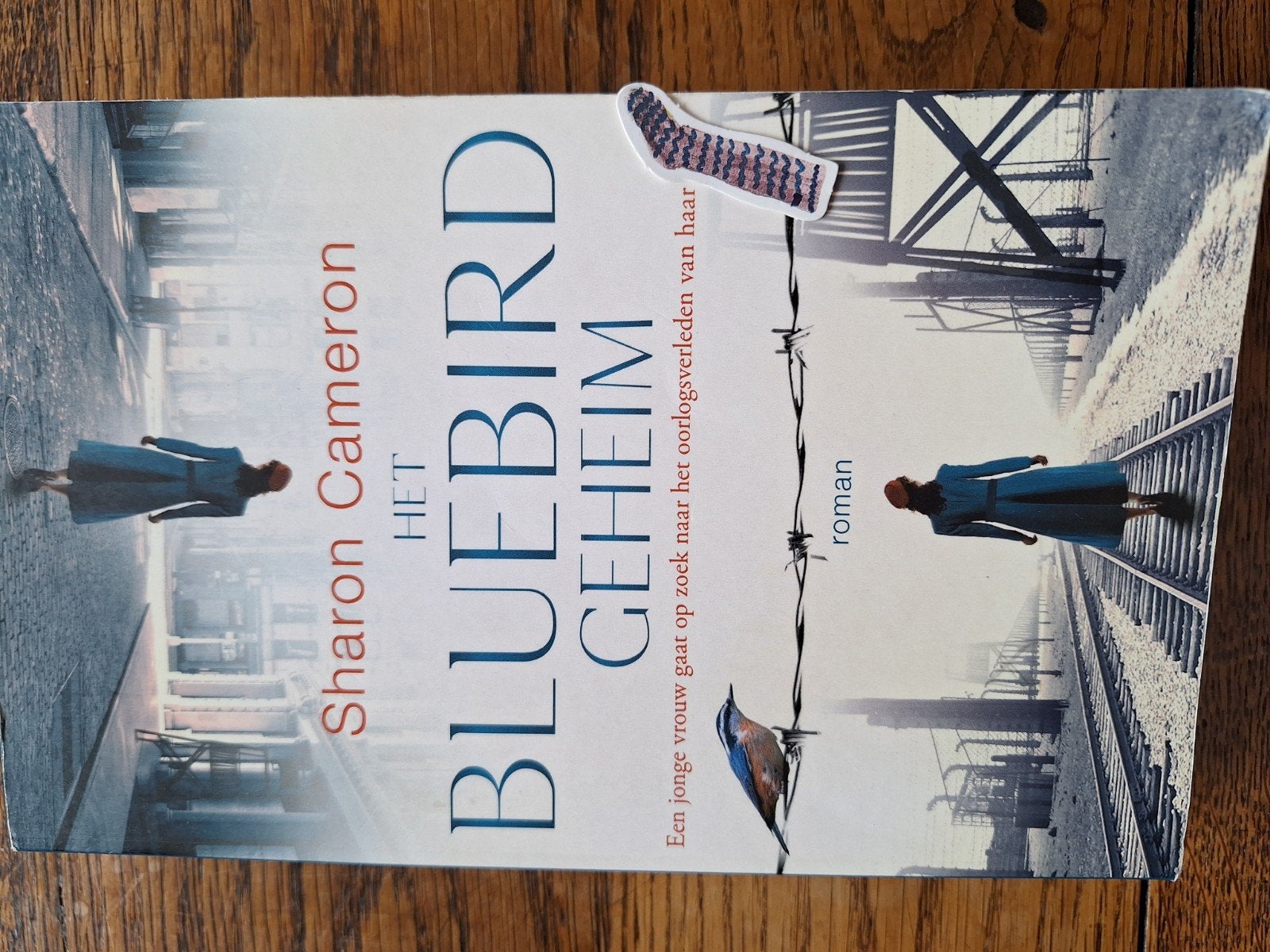 Sharon Cameron - Het Bluebird geheim, Ophalen of Verzenden, Gelezen, Sharon Cameron