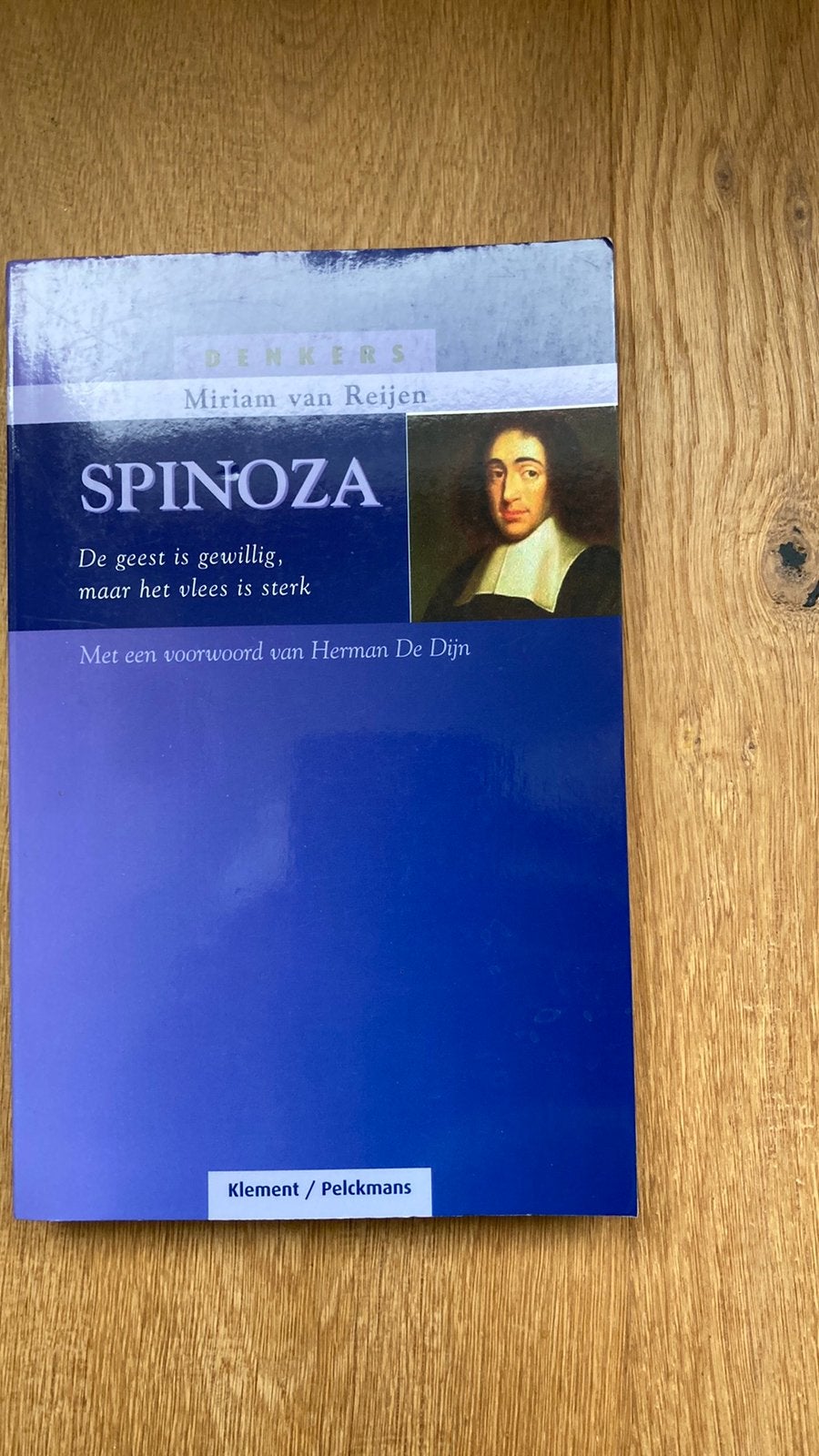 M. van Reijen - Spinoza, Ophalen of Verzenden, Zo goed als nieuw, M. van Reijen