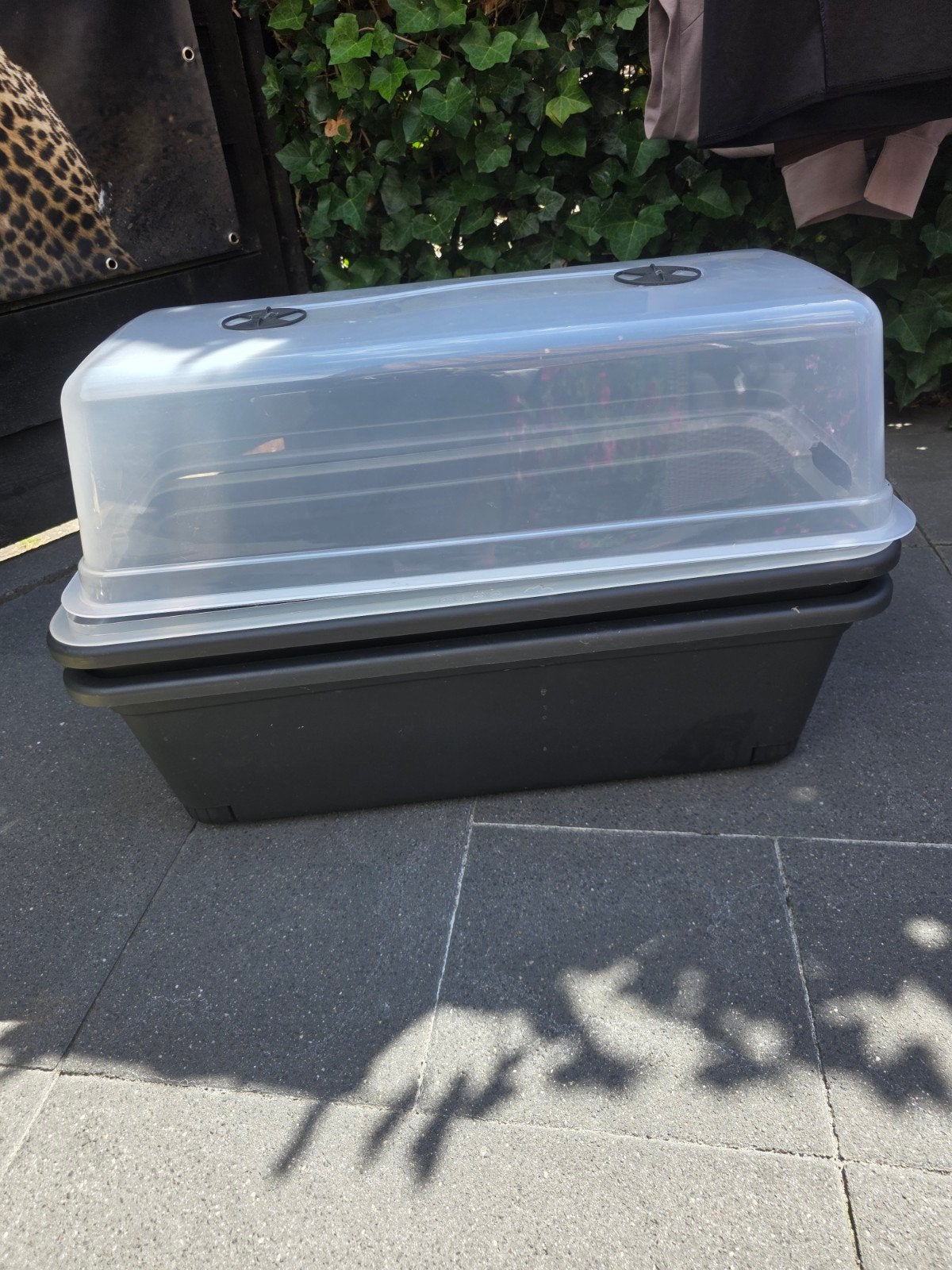 2x Kweekbak met deksel en ventilatie, Ophalen, Gebruikt, Kweekbak