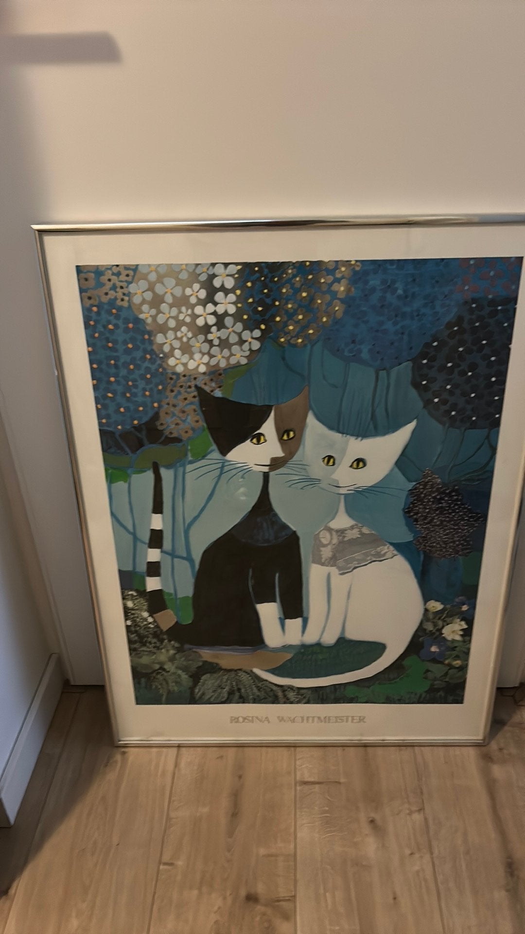 Rosina Wachtmeister poster ingelijst, Huis en Inrichting, Woonaccessoires | Schilderijen, Tekeningen en Foto's, Ophalen, 50 tot 75 cm