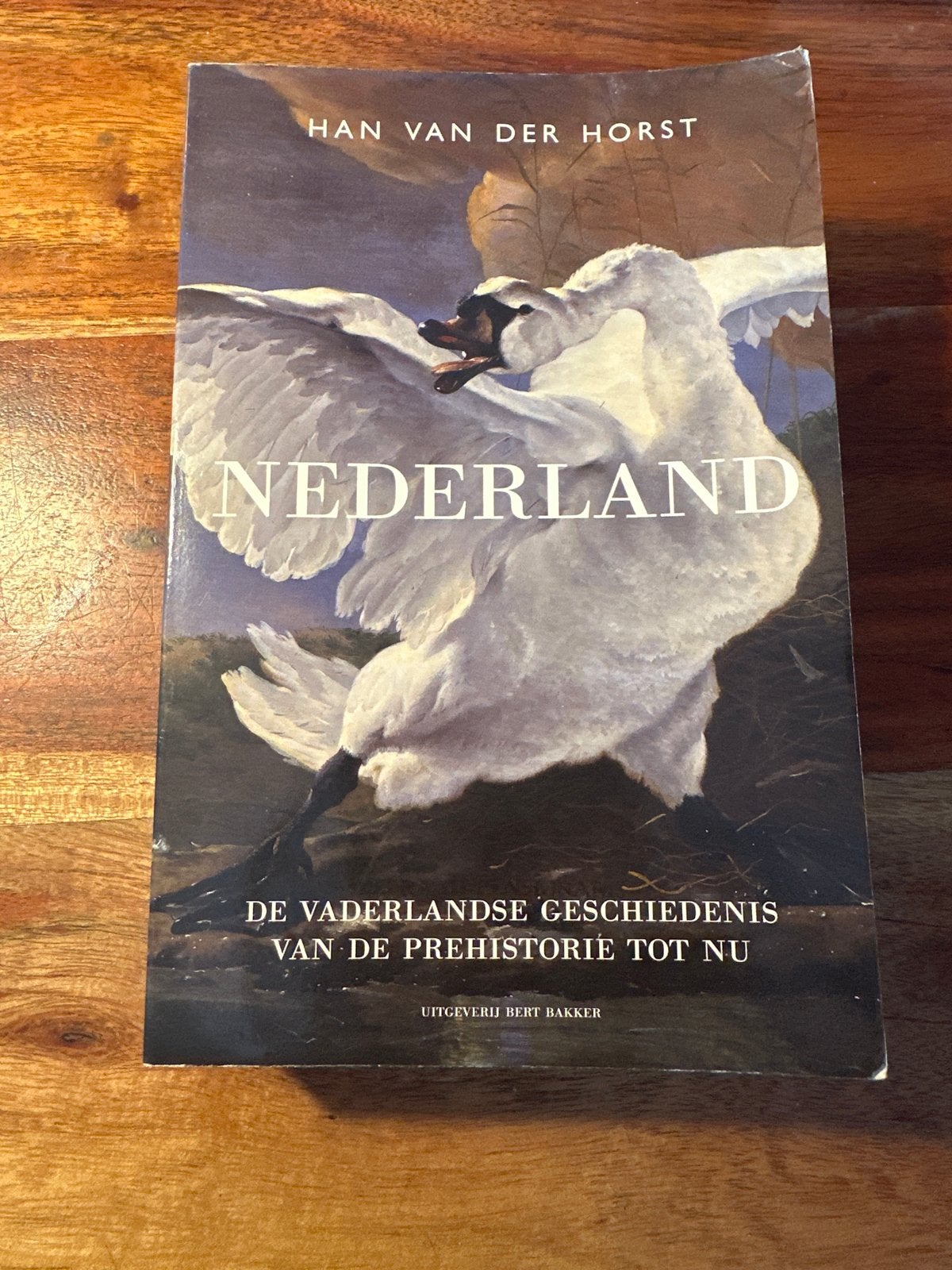 Nederland: De Vaderlandse Geschiedenis van de Prehistorie to, Ophalen of Verzenden, 20e eeuw of later, Gelezen