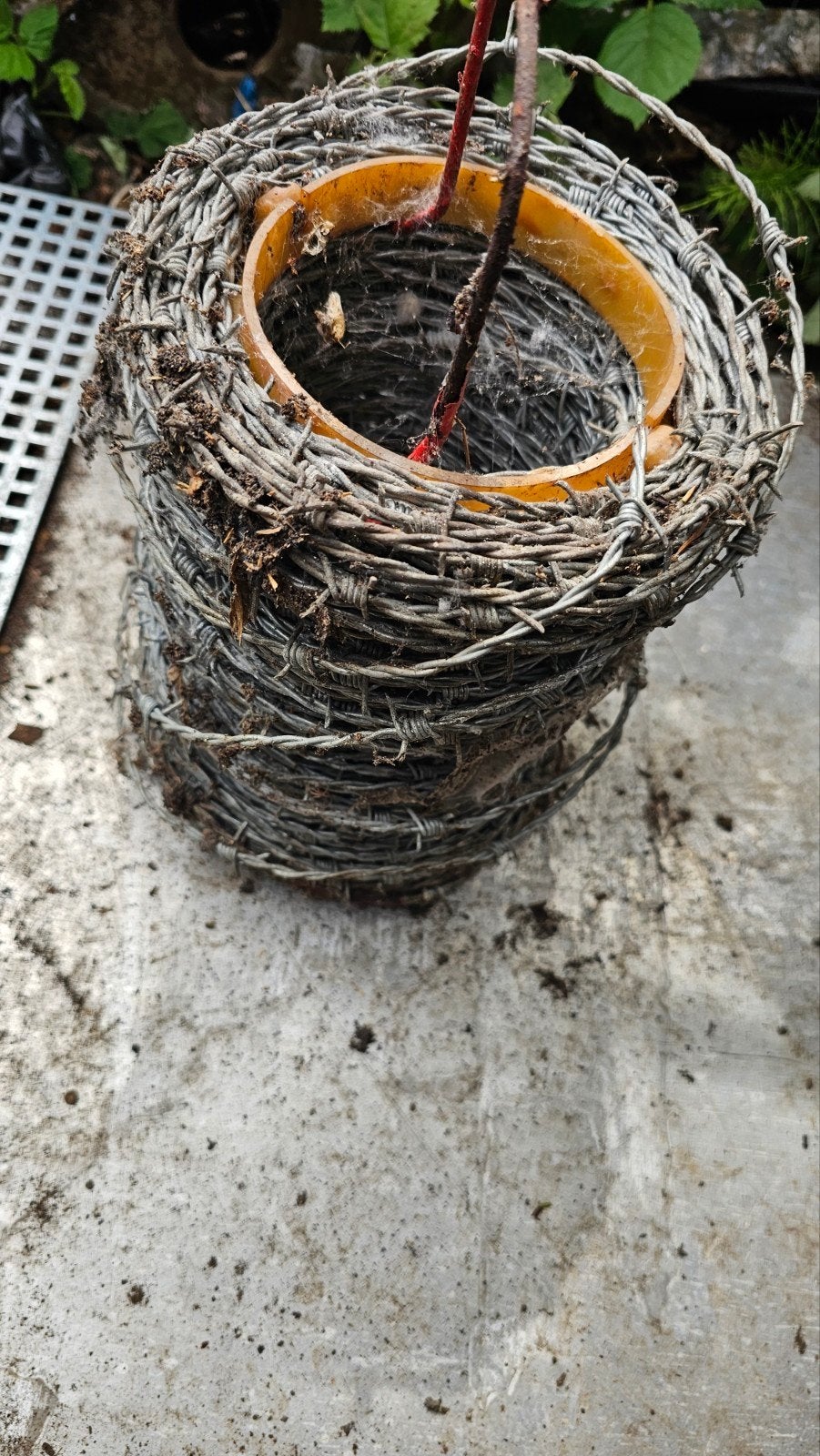 Prikkeldraad 10 mtr., Tuin en Terras, Ophalen