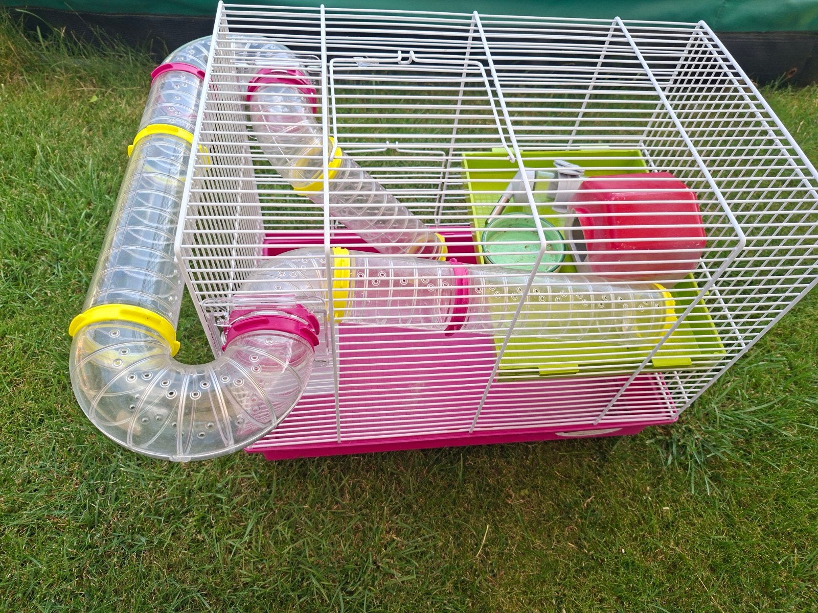 knaagdier ratten muizen hamster kooi, Ophalen of Verzenden, Zo goed als nieuw, Overige typen