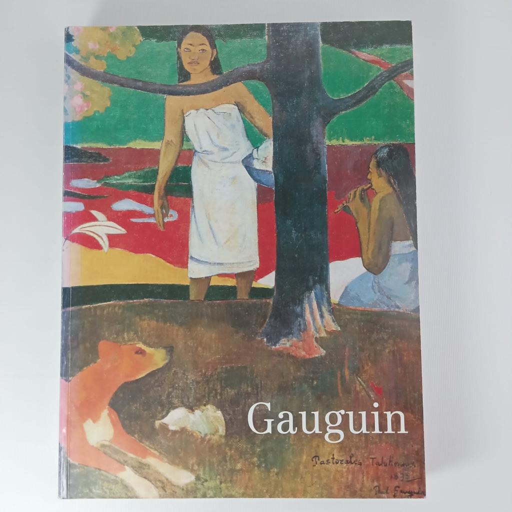 Gauguin Kunstboek - Tentoonstellingscatalogus, Gelezen, Ophalen of Verzenden, Paul Gauguin, Schilder- en Tekenkunst