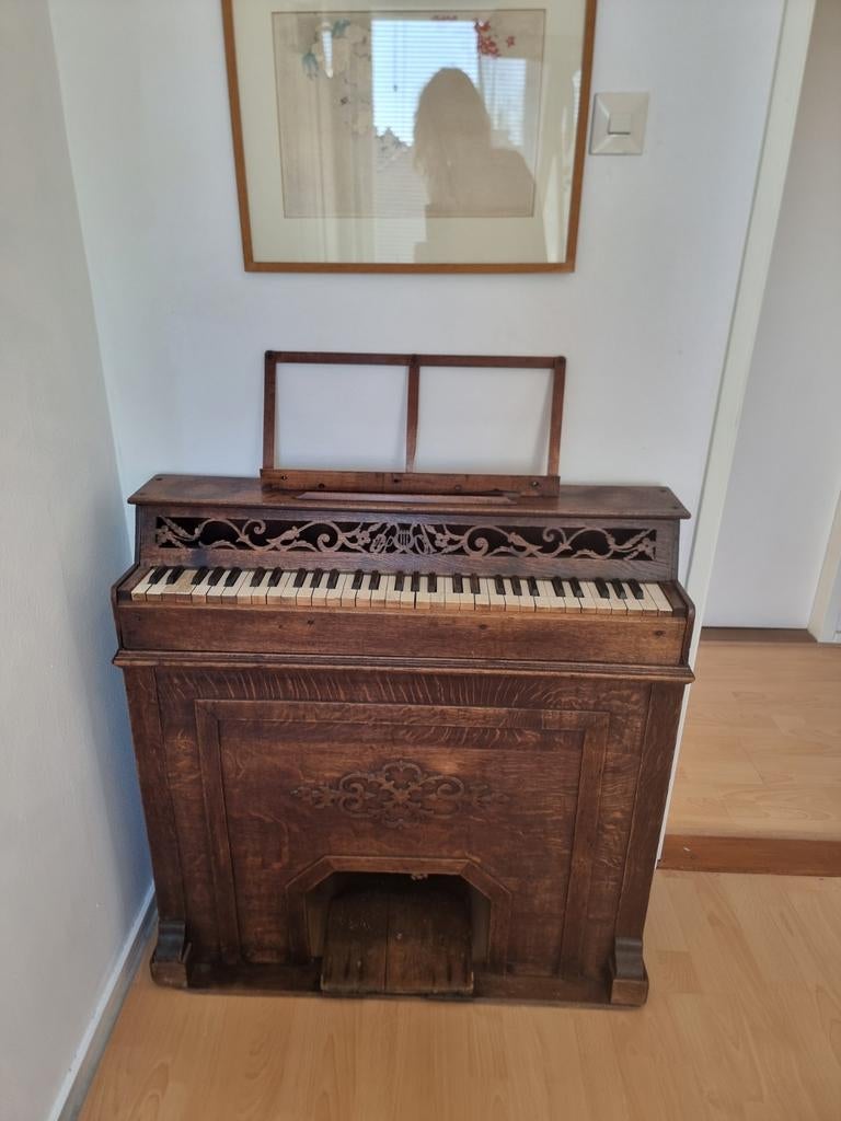 Antiek kinderharmonium - Prachtig Houten Design 19e eeuw, Muziek en Instrumenten, Ophalen, Gebruikt, Zwart