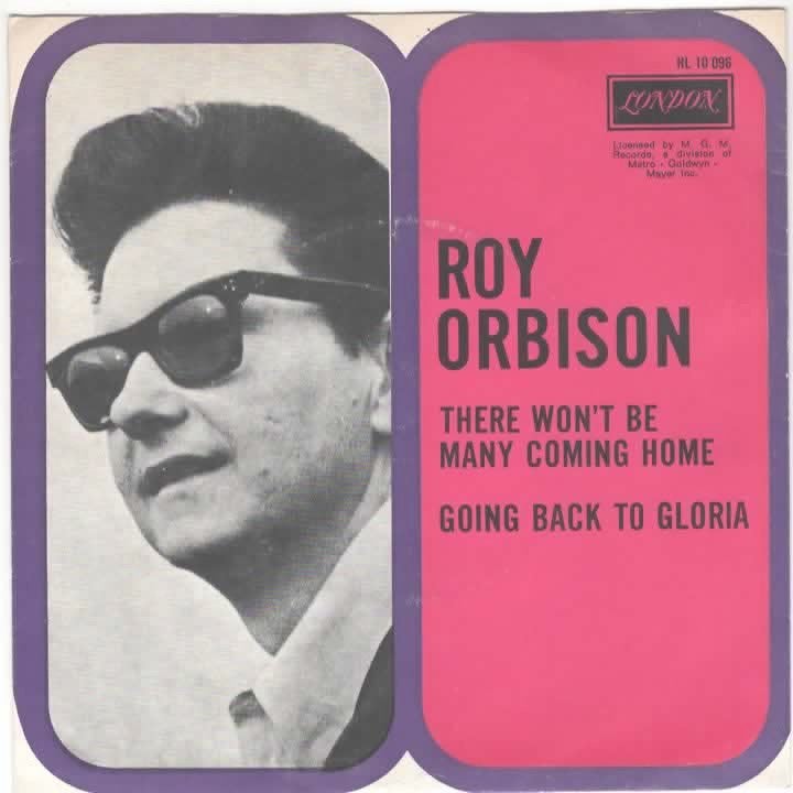 Roy Orbison- There won't be many coming Home  Prachtstaat, Gebruikt, Verzenden, 7 inch, Fotohoes