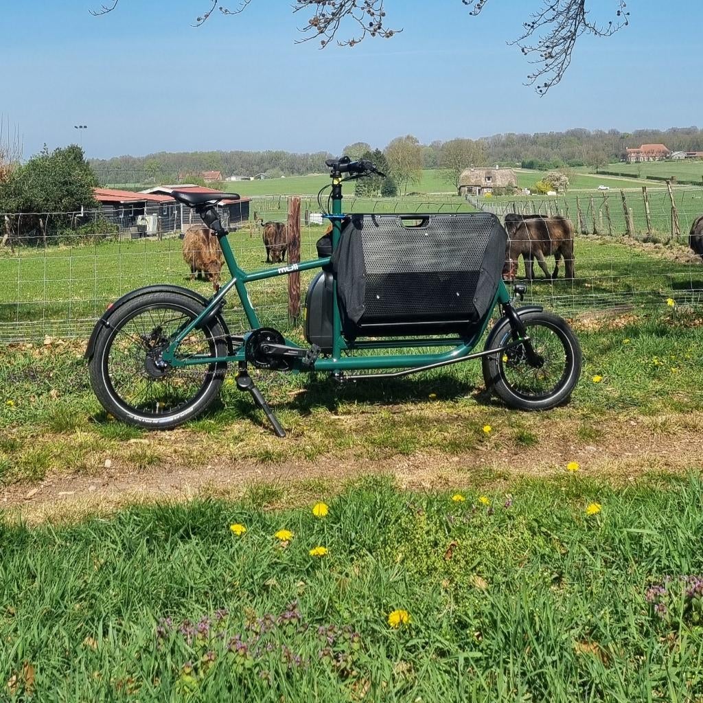 Muli ST Pro Pinetree Green cargobike, Muli Cycles, Nieuw, Info@cafecadans.nl, 2 kinderen