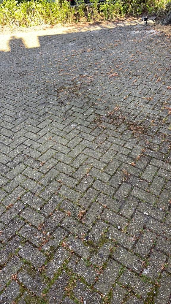Gratis Betonstenen licht rood, Tuin en Terras, Tegels en Klinkers, Ophalen, Gebruikt, Beton, Klinkers