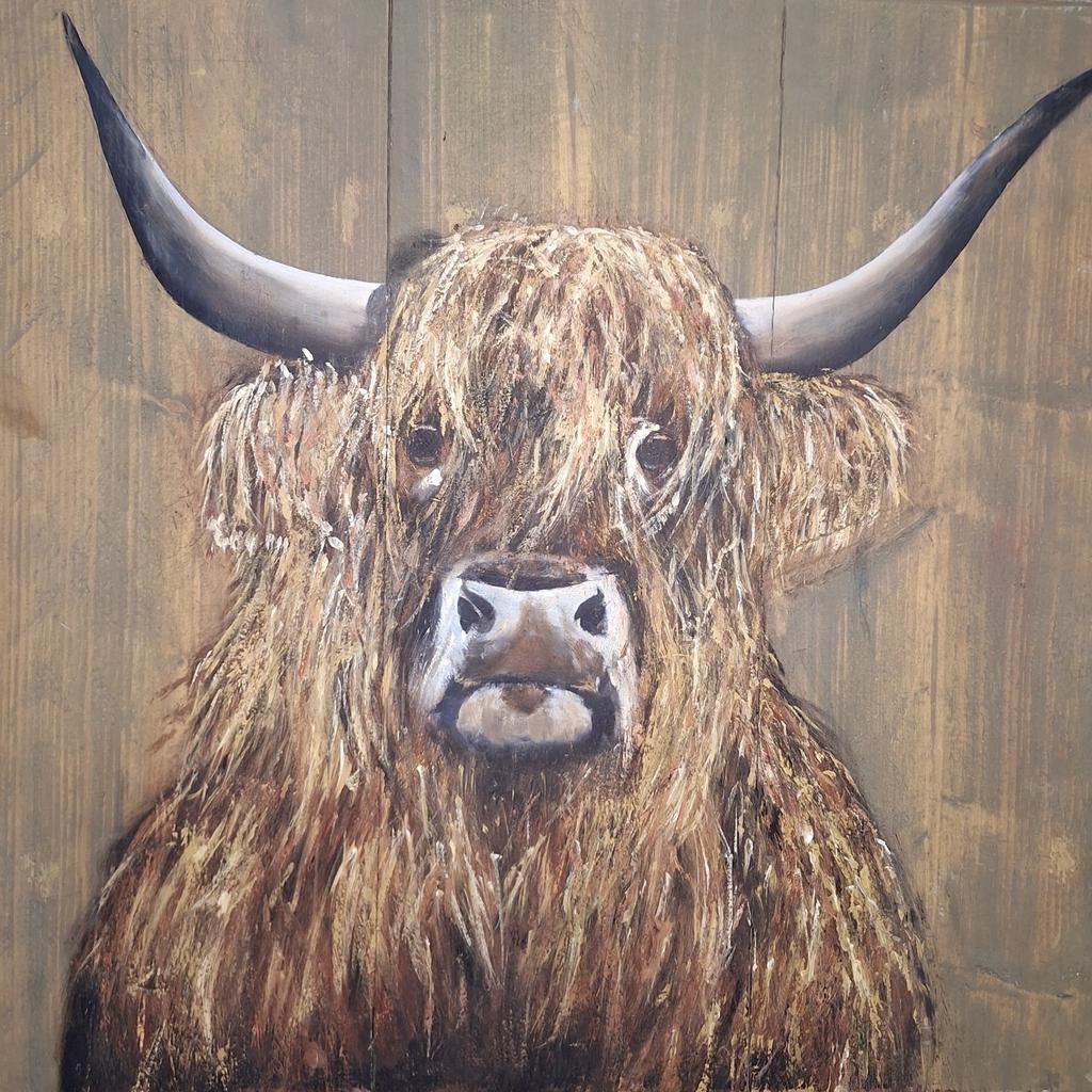 Schotse hooglander op steigerhout, Ophalen