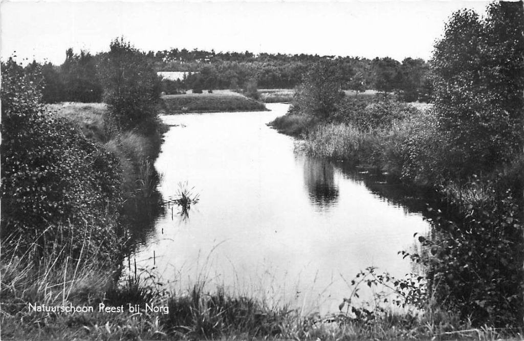 388-485-049 Norg Natuurschoon Reest, Verzenden, Voor 1920, Drenthe