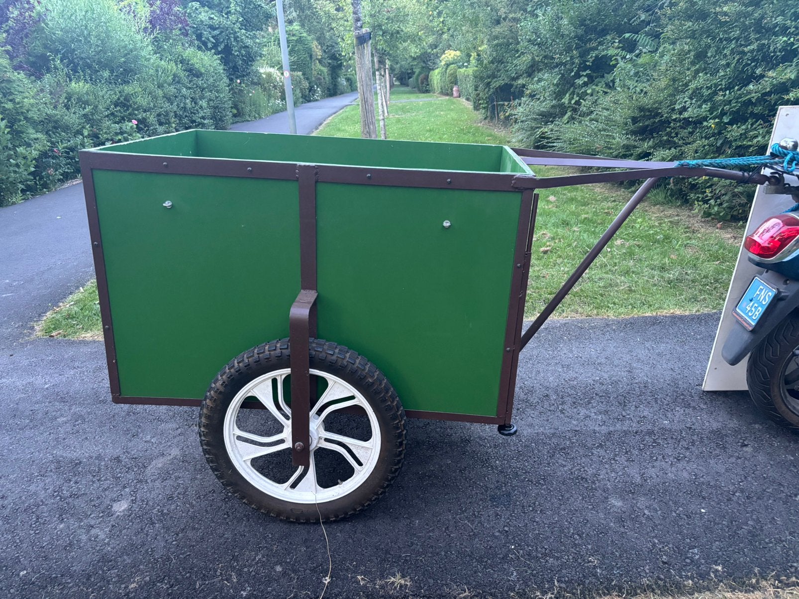 Fietskar vissen, Ophalen, Zo goed als nieuw, Kinderkar, 80 kg of meer