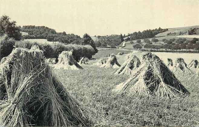 301-451-035 Brunssum Zuid Limburgs landschap bij Benzenrade, Verzamelen, Ophalen of Verzenden, Voor 1920, Limburg