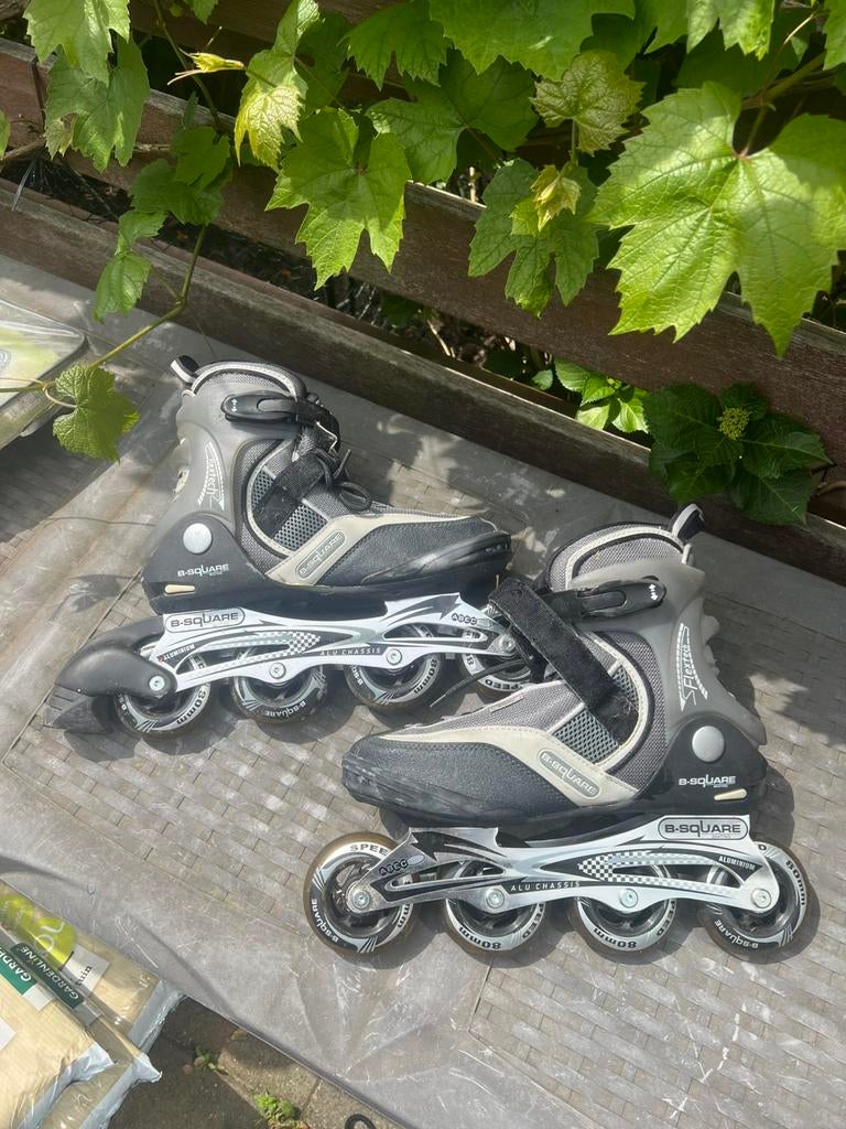 Skielers (nieuw) 41, Sport en Fitness, Ophalen of Verzenden, Nieuw