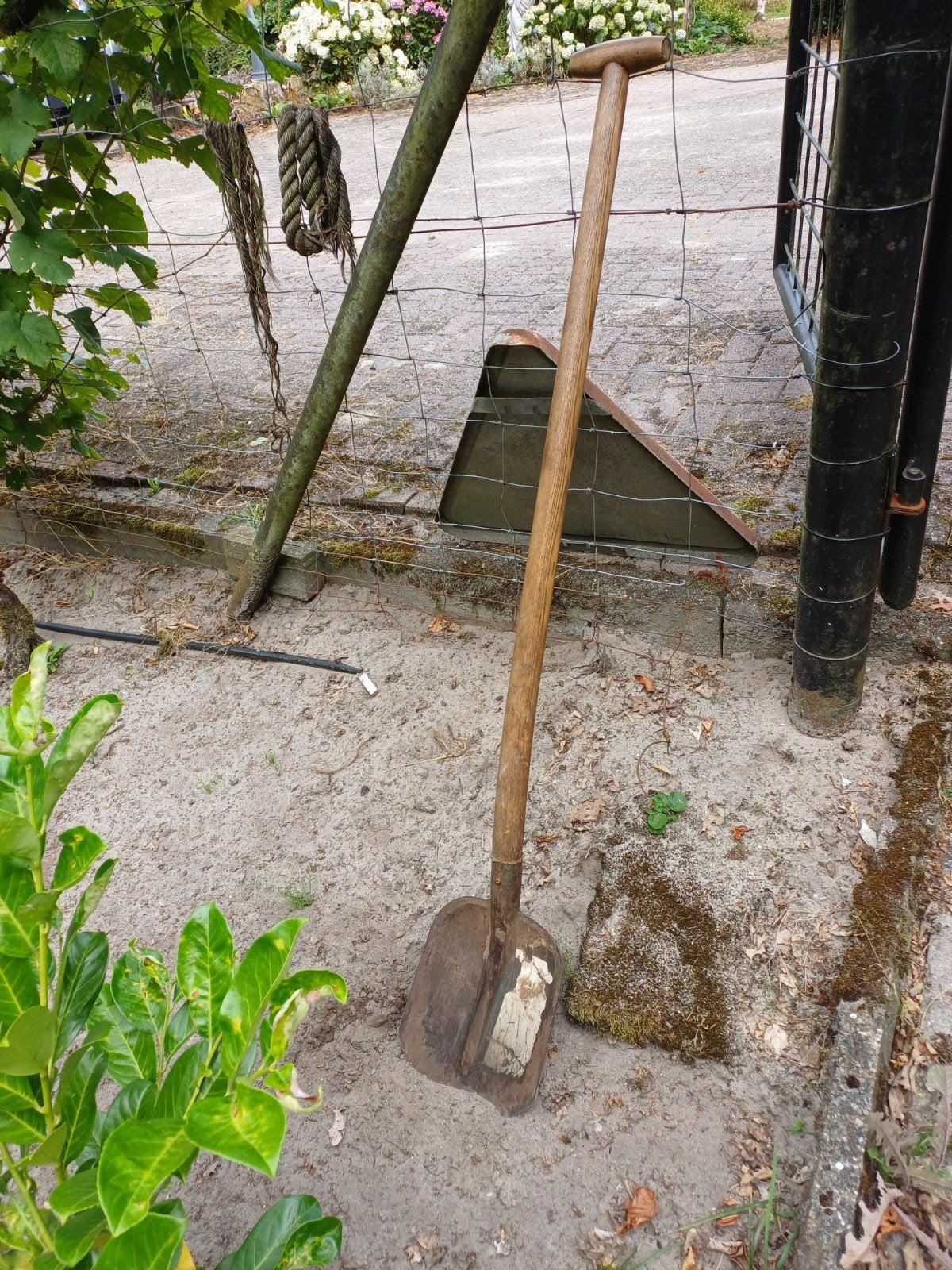 oude scheppen gezocht voor museum, Tuin en Terras, Hand-tuingereedschap, Ophalen of Verzenden, Gebruikt
