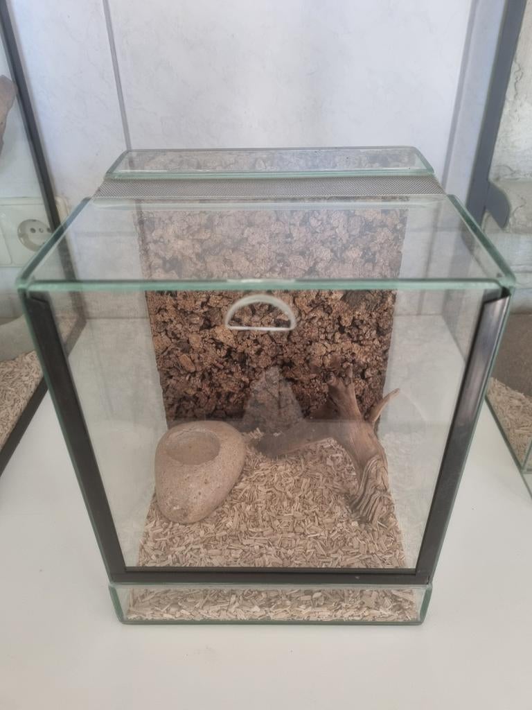 Klein terrarium 20x20x25, Dieren en Toebehoren, Reptielen en Amfibieën | Toebehoren, Ophalen of Verzenden