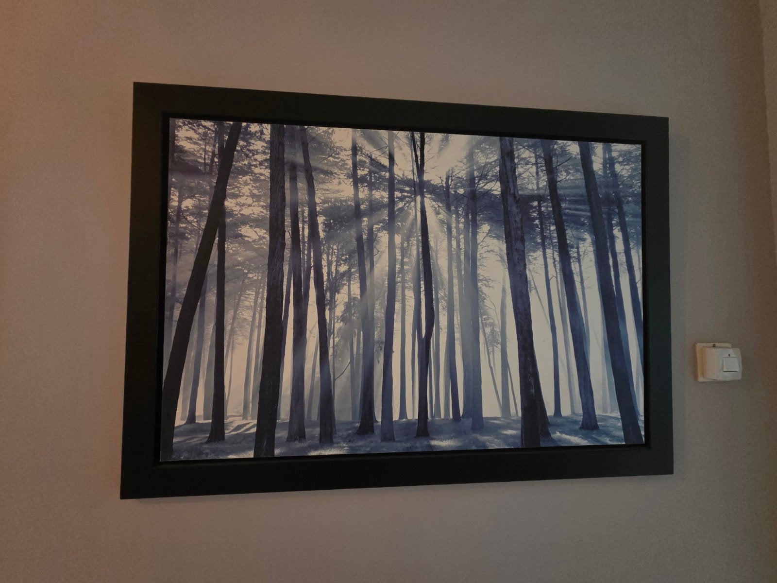 Schilderij met boslandschap en zonnestralen, Antiek en Kunst, Ophalen