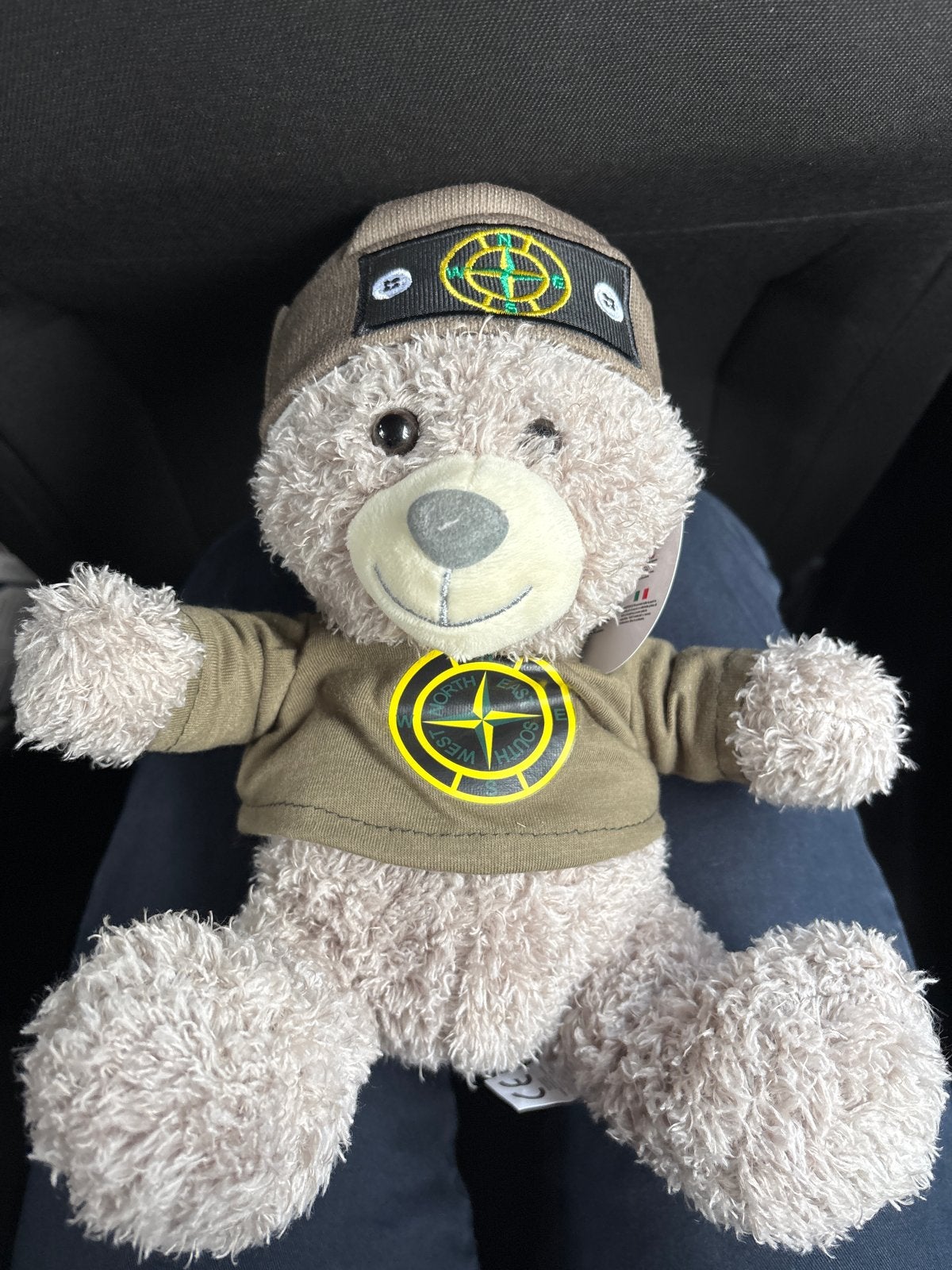 Stone Island Teddybeer nieuw, Overige merken, Beer, Nieuw, Ophalen of Verzenden